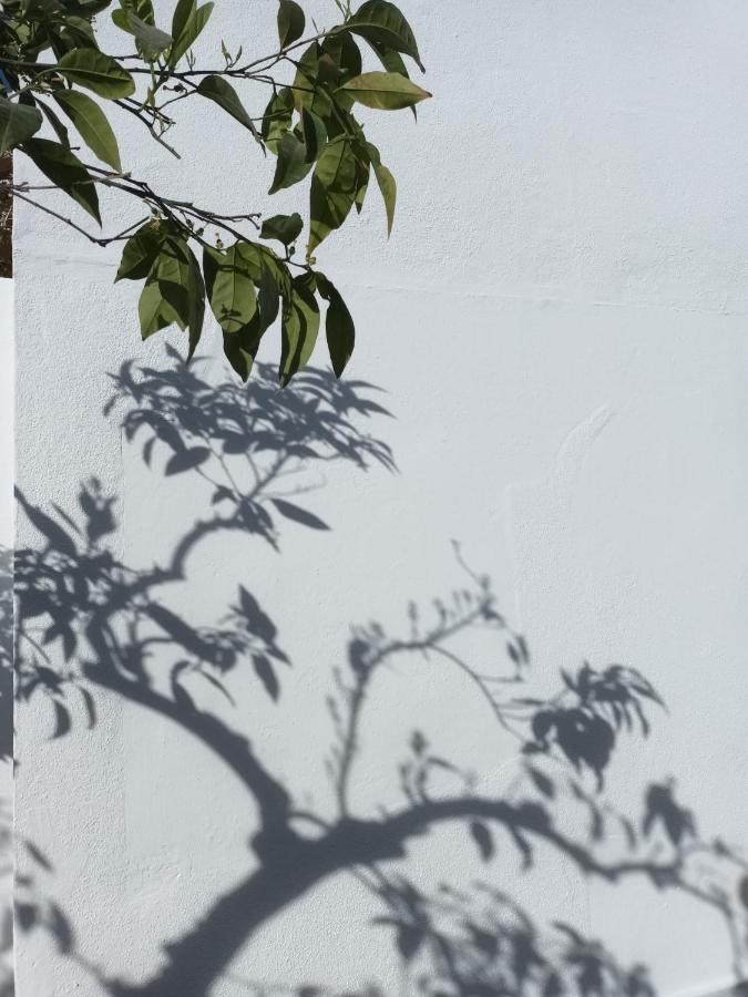 דירות רגואנגוס דה מונסאראז Casa Morais Pinto מראה חיצוני תמונה